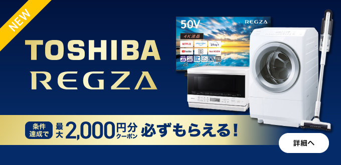 東芝・レグザフェア