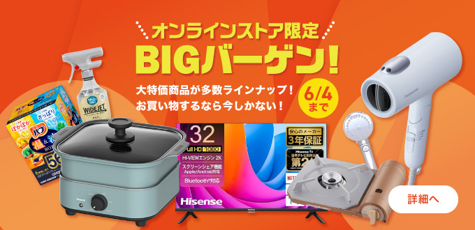 オンラインストア限定BIGバーゲン!