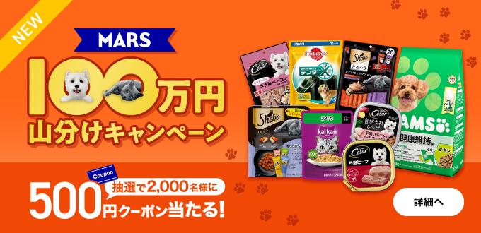 MARS 100万円山分けキャンペーン