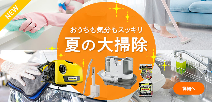 夏の大掃除