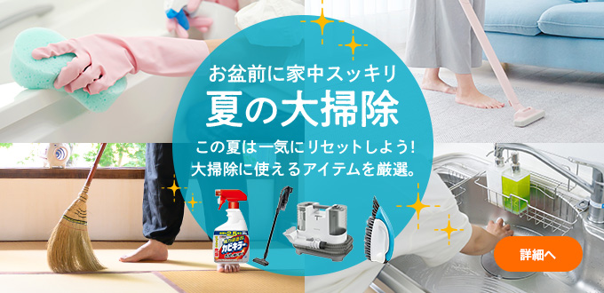 夏の大掃除