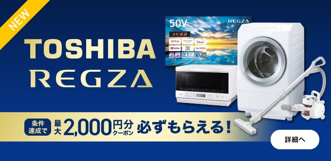 東芝・レグザフェア