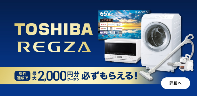 東芝レグザフェア