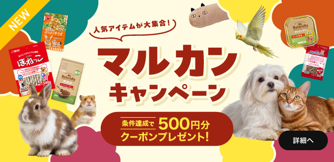 マルカンキャンペーン