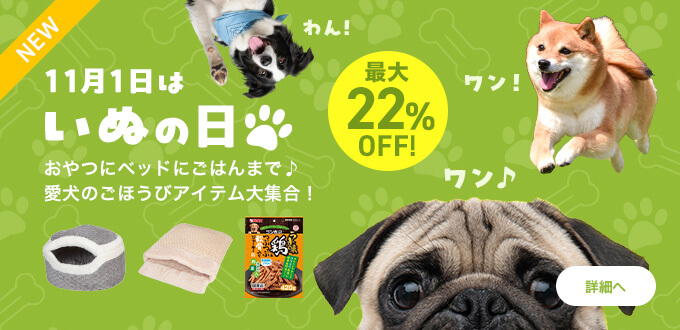 11月1日は「いぬの日」