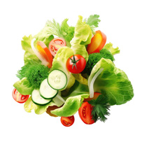 サラダ野菜（きゅうり・トマトなど）☆