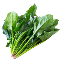 葉物野菜（キャベツ・ほうれん草など）☆