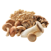 きのこ類（しいたけ・えのきなど）☆