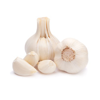 薬味・香味野菜（ねぎ・大葉など）☆