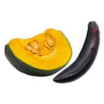 果菜（ナス・カボチャ・豆類など）☆