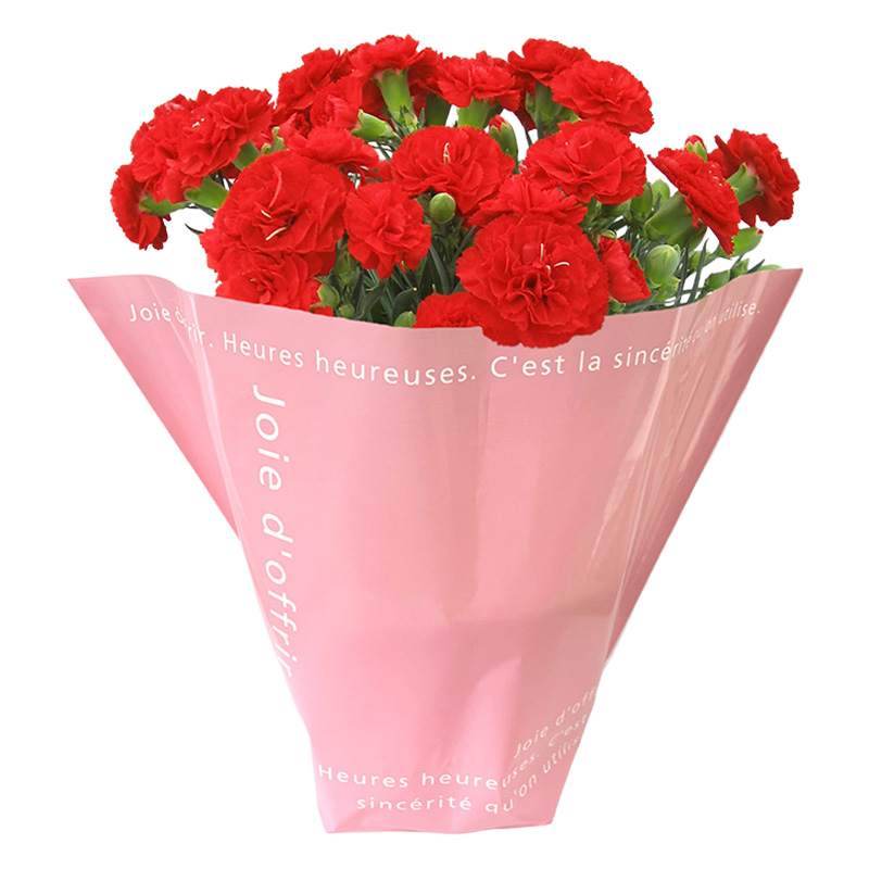 母の日カーネーション