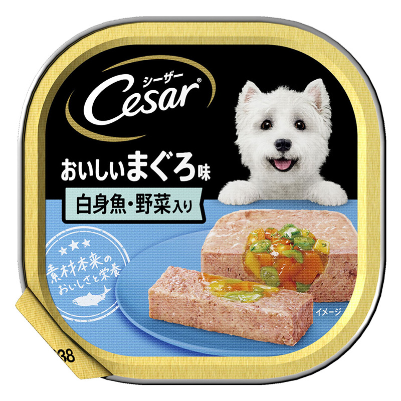 シーザー　　　　　　