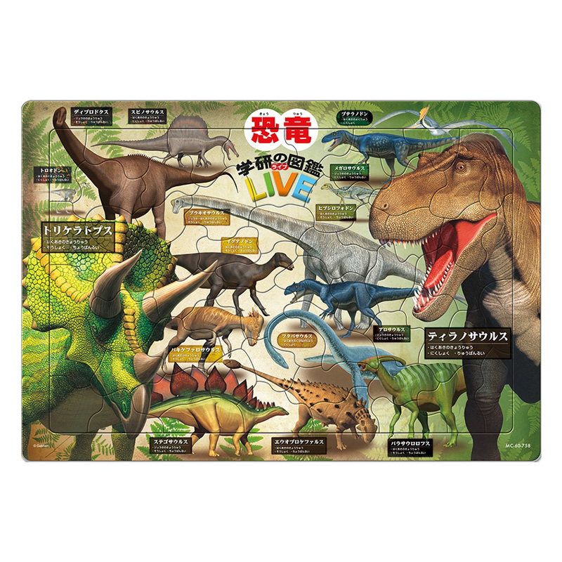 知育パズル　　　　　