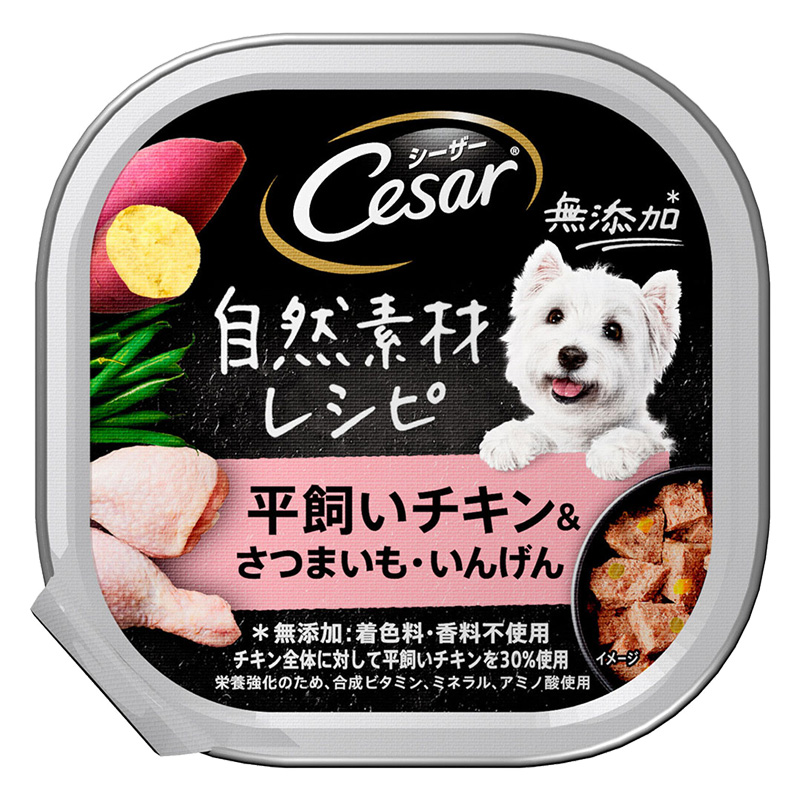 シーザー　　　　　　