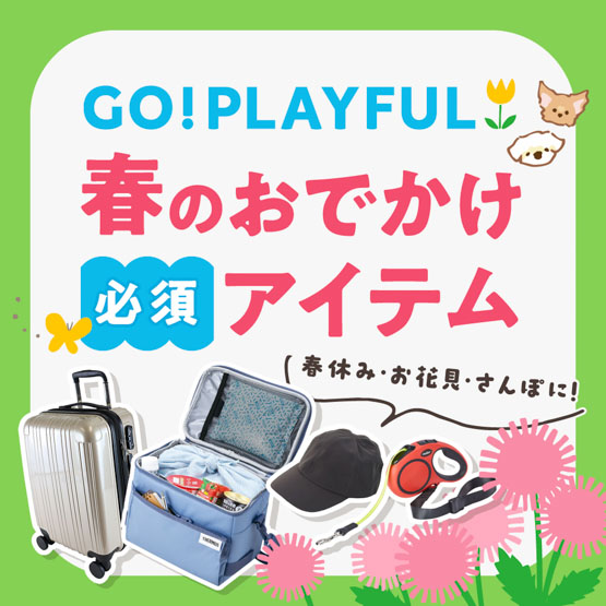春のおでかけ必須アイテム