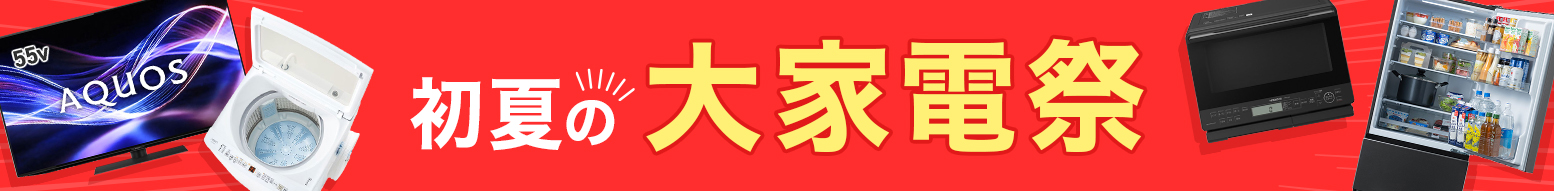 初夏の大家電祭
