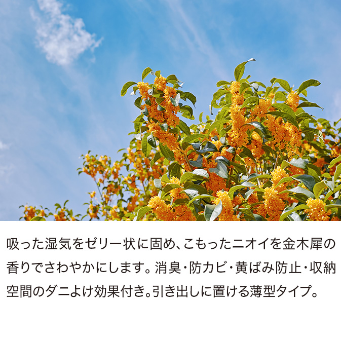 product-images
