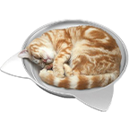 product-images