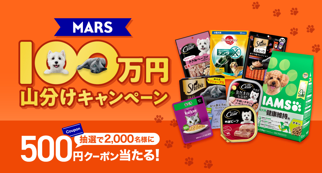 MARS 100万円山分けキャンペーン
