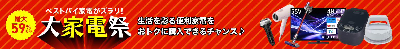 大家電祭