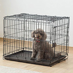 product-images