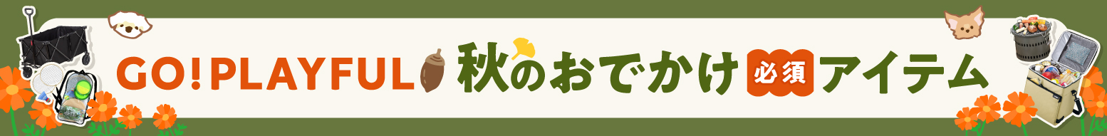 秋のおでかけ必須アイテム