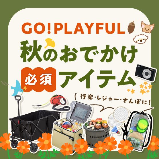 秋のおでかけ必須アイテム特集