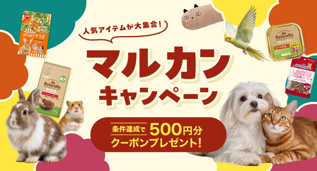マルカンキャンペーン