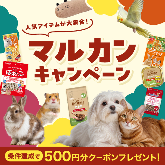 マルカンキャンペーン
