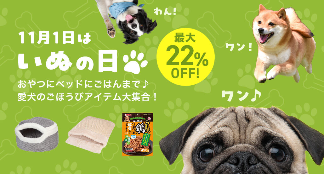 11月1日は「いぬの日」