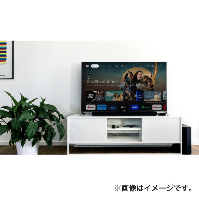 50型スマートテレビ MTH-50RG4S1 4570142904109×1 ｜ ミスターマックスオンラインストア