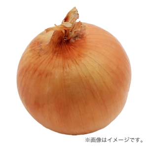 新玉ねぎ 1玉 長崎県などの国産