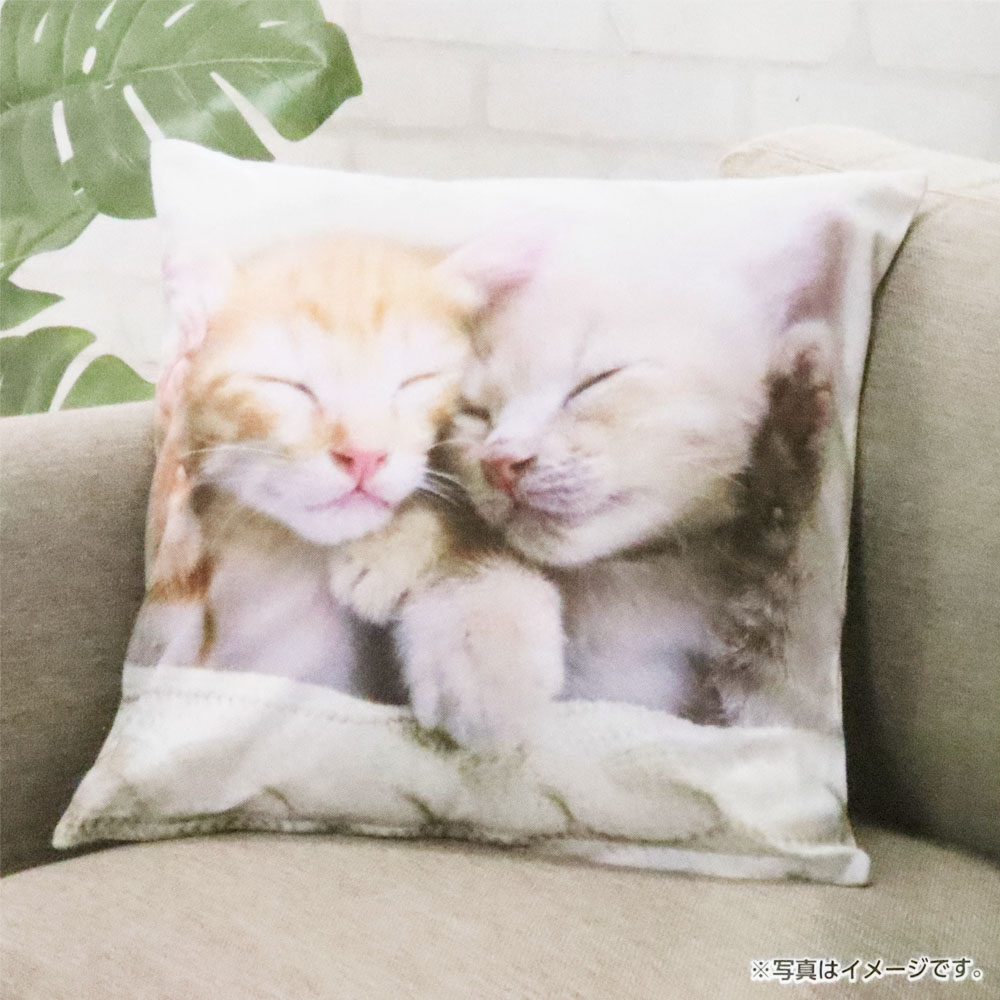 ●クッションカバー こねこ 45×45cm アイボリー 4573595484297×1