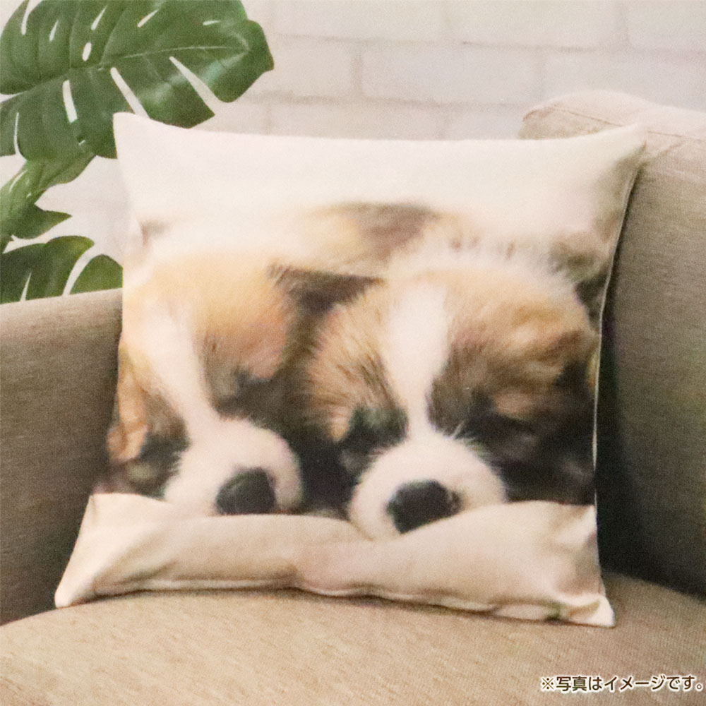 ●クッションカバー こいぬ 45×45cm アイボリー 4573595484303×1