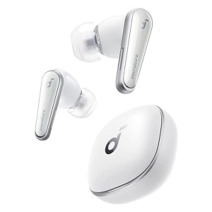 ●完全ワイヤレスイヤホン A3953N21 4571411204302×1