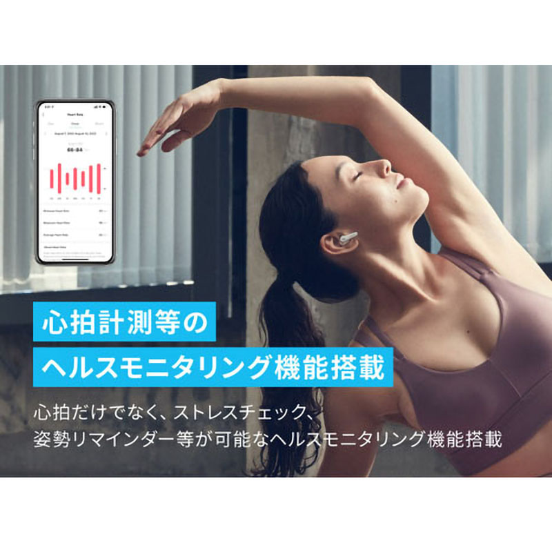 ●完全ワイヤレスイヤホン A3953N21 4571411204302×1