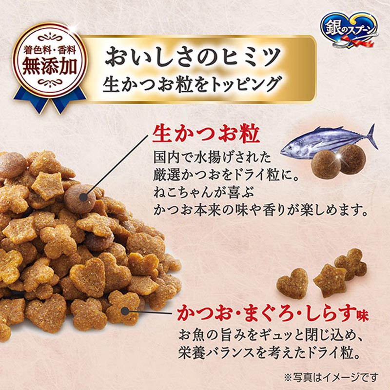 銀のスプーン 国産生かつお 海の幸ブレンド 950g