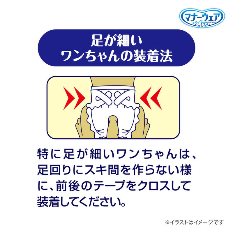 マナーウェア 長時間 男女共用 LL 5枚入り