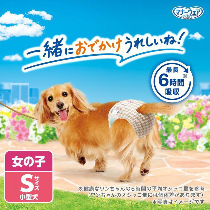 マナーウェア 女の子用 S 16枚入