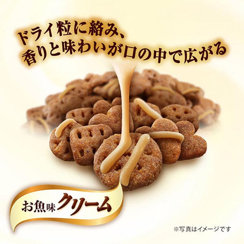 銀のスプーン 三ツ星グルメお魚味クリームかつお味レシピ 種のアソート180g