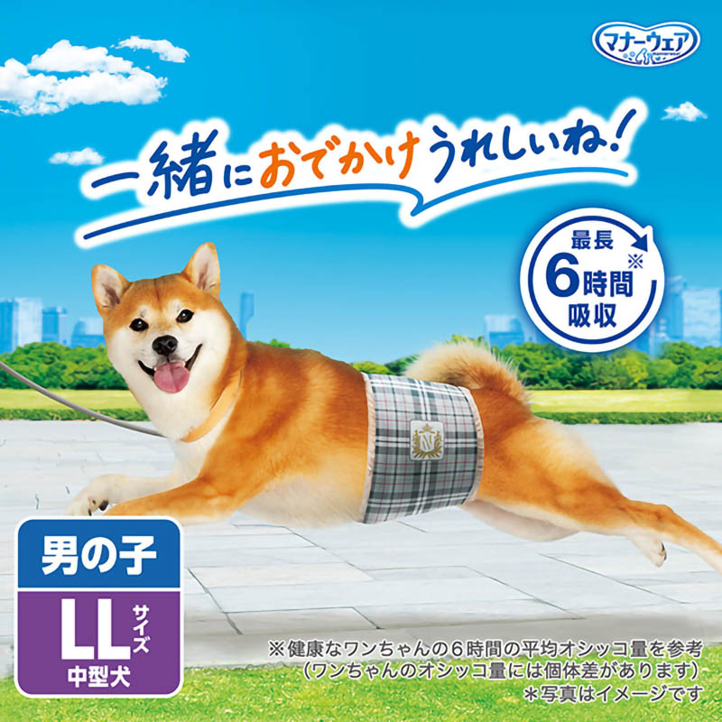 マナーウェア 男の子用 LL 32枚