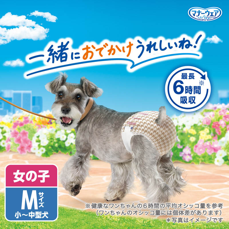 マナーウェア女の子用 Mサイズ 4枚