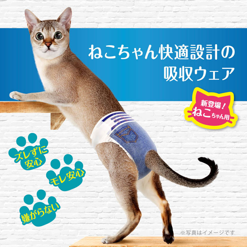 マナーウェア ねこ用 SSサイズ40枚