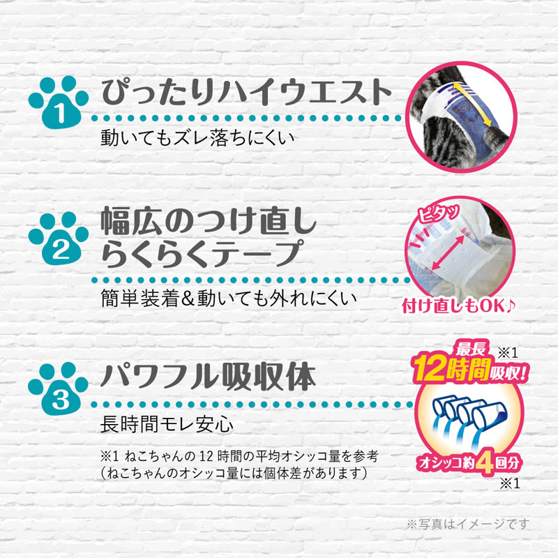 マナーウェア ねこ用 SSサイズ40枚