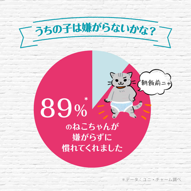 マナーウェア ねこ用 Sサイズ 38枚