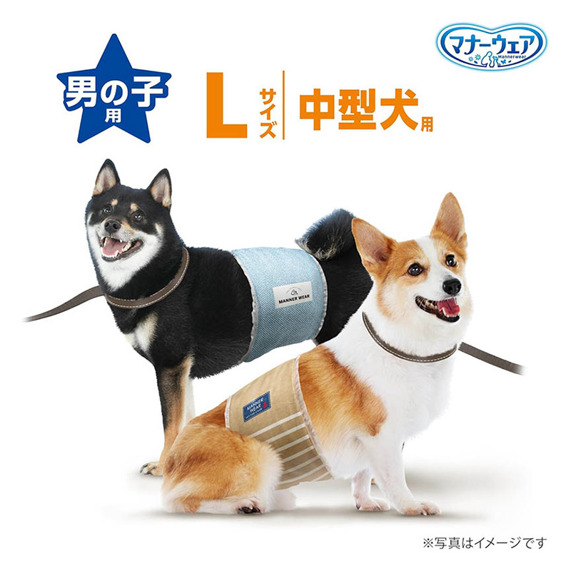 マナーウェア 男の子用 L 40枚
