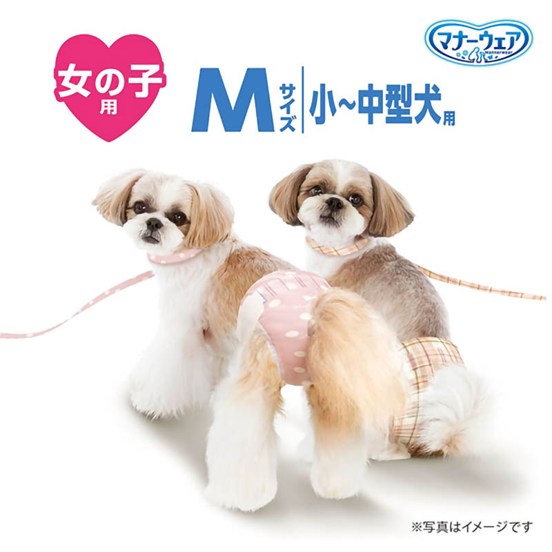 マナーウェア 女の子用 M 34枚