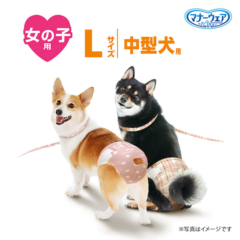 マナーウェア 女の子用 L 32枚