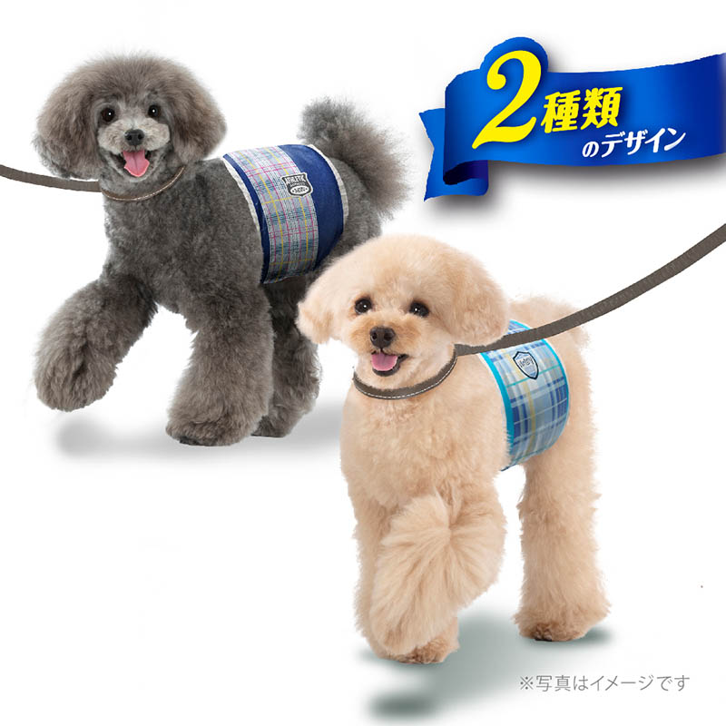 マナーウェア 男の子用 SS 48枚
