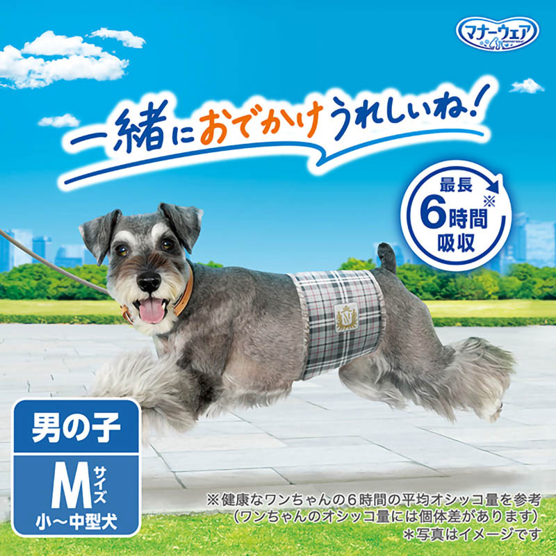 マナーウェア 男の子用 M 42枚